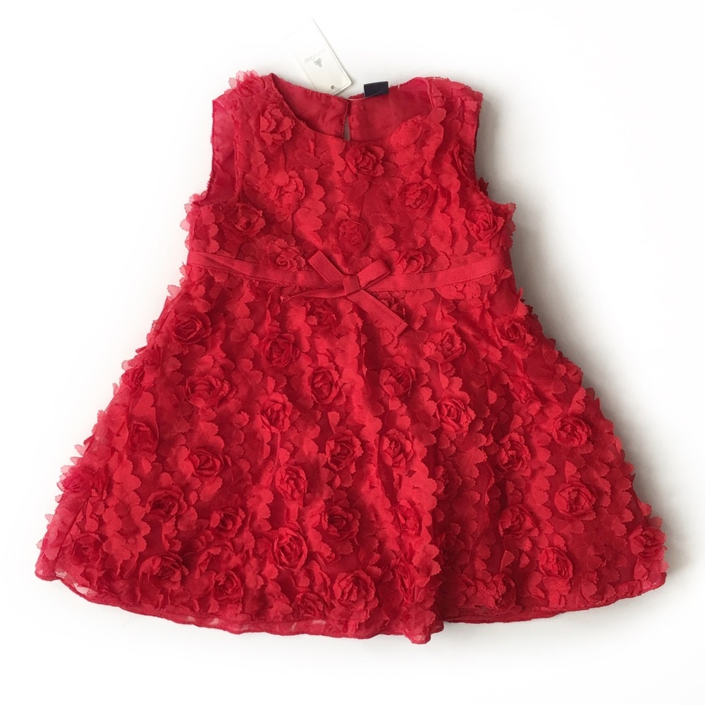 NWT BabyGap Dress